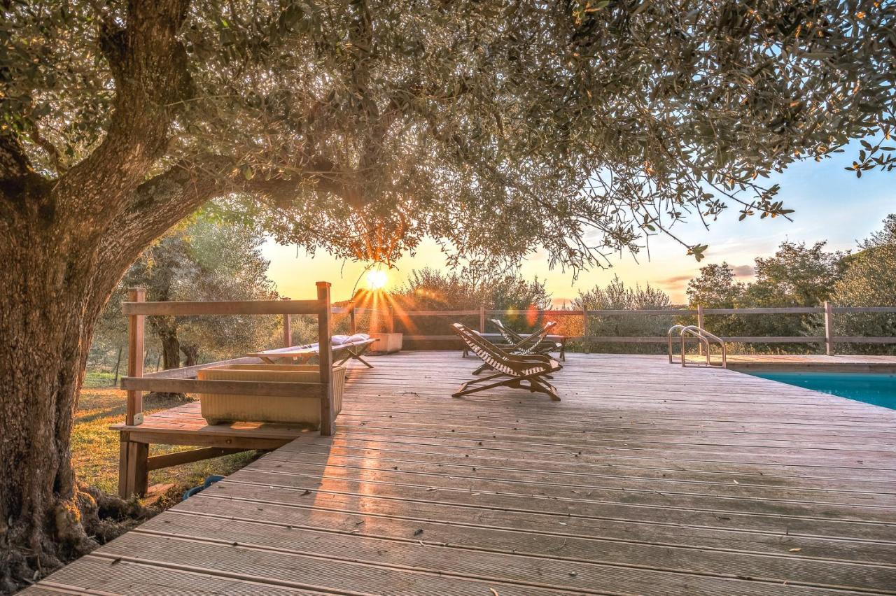 Alpaca Country House Pontedera Exterior photo